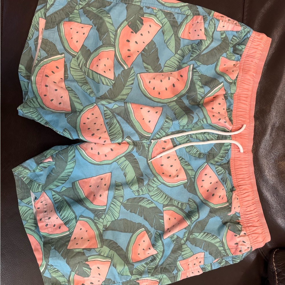 Watermelon Print Swim Trunks